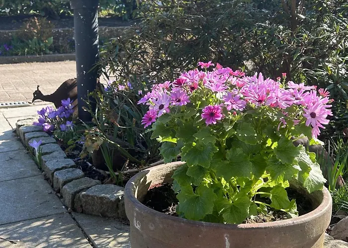 Very Comfortable House Hamburg Area *